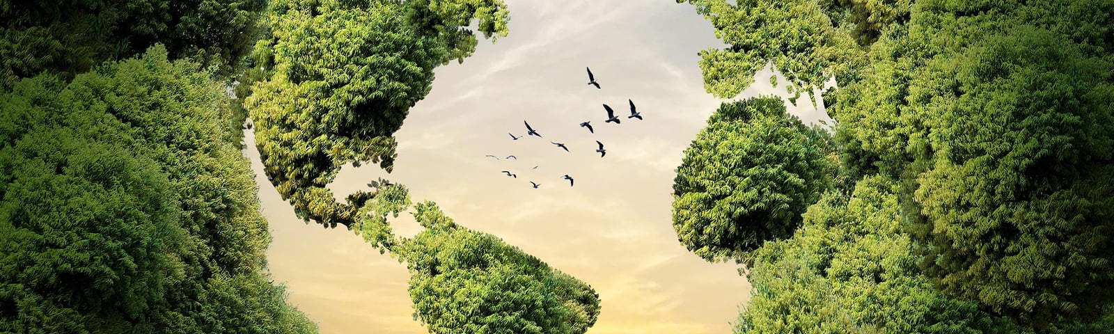 I stop talking about sustainability. I have a better idea