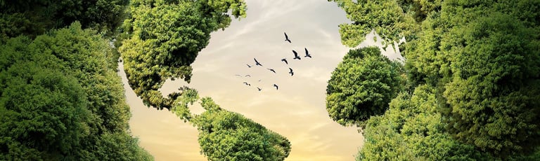 I stop talking about sustainability. I have a better idea