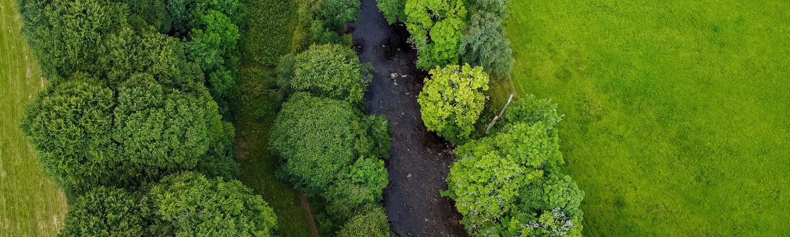 Green Deals in Nederland en België 