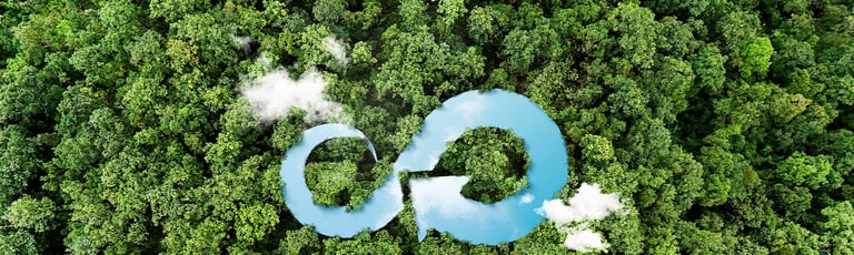 Wat is Cradle to Cradle? Definitie, certificering en voorbeelden