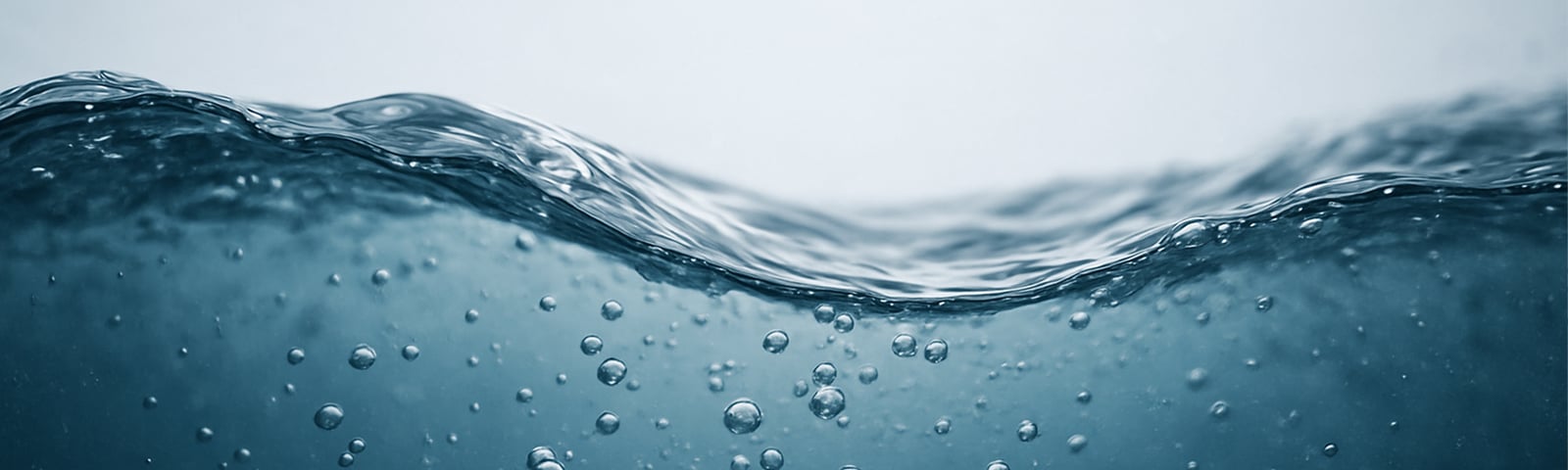 WMD is committed to a smooth and sustainable waste management process, together with Milgro