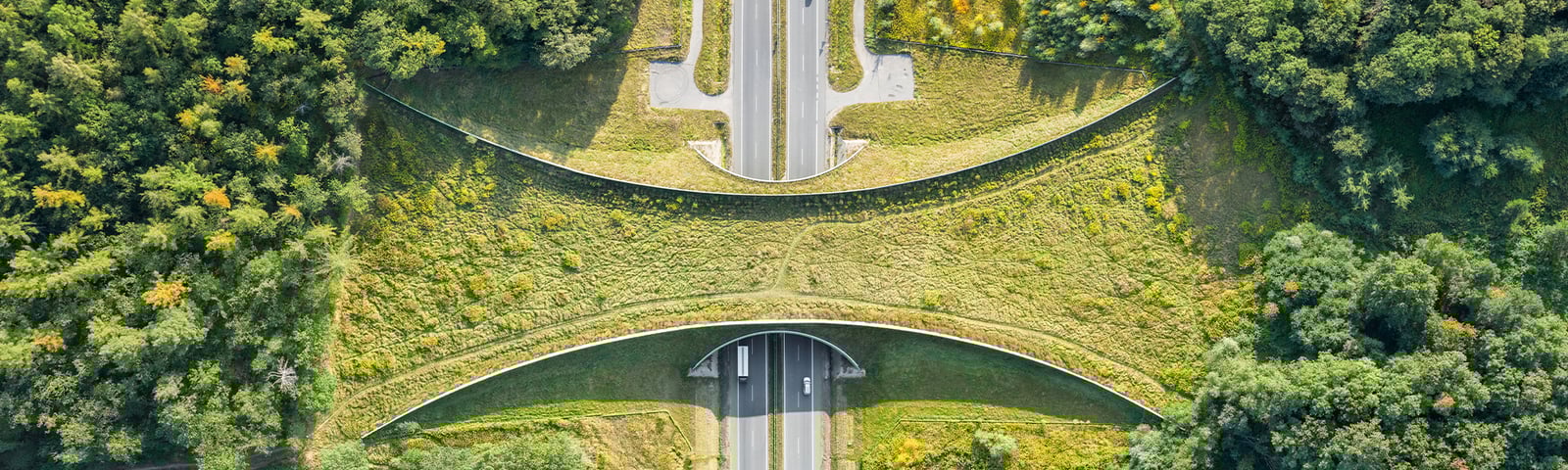 Lack of regulations inhibits circular ambitions at two in five Dutch organizations
