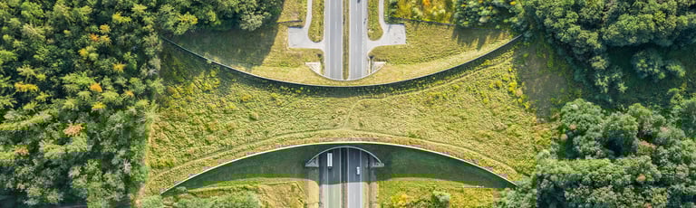 Lack of regulations inhibits circular ambitions at two in five Dutch organizations